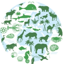 22 травня світ відзначає Міжнародний день біорізноманіття